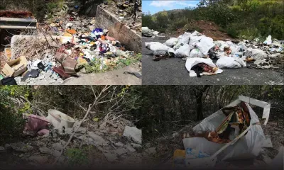 Pailles : Carcasses d’animaux et autres débris ménagers parsèment la Ring Road