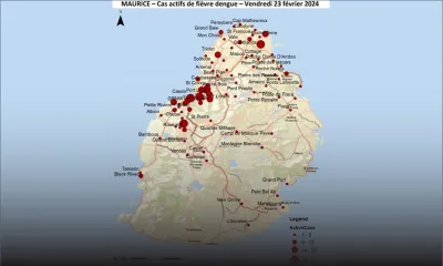 Épidémie - Dengue : Port-Louis, zone rouge pour diverses raisons