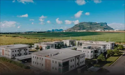 Medine : chiffre d’affaires et profits en baisse