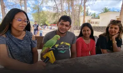«Bébé», l’oiseau apprivoisé de Midesh profite de la plage