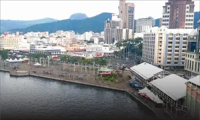Caudan : une dizaine de dauphins se donnent en spectacle