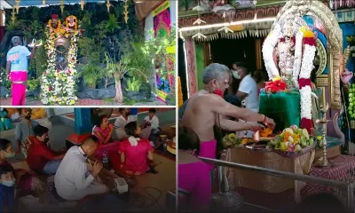Célébration du Thaipoosam Cavadee : la ferveur en effervescence dans les kovils à Quatre-Bornes