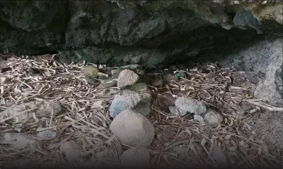 Trésor à Rodrigues : un «Restricted Commitee» mis en place