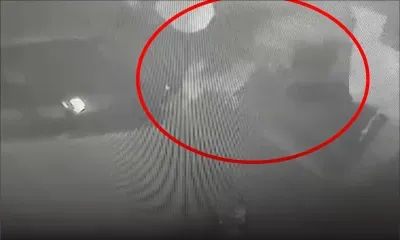 Riche-Terre : filmé en train de voler une batterie alors que le chien remue la queue