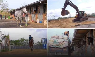 [Exclusivité] : Incursion dans le centre d'entraînement privé de Lee-Shim