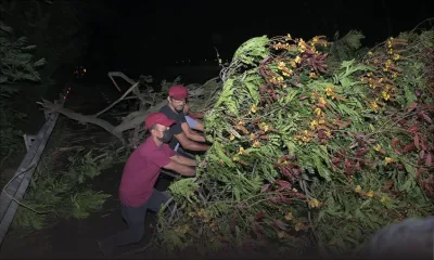 Cyclone tropical intense Batsirai : 50 personnes dans les centres d’urgence 