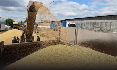 Fin de l’accord céréalier entre la Russie et l’Ukraine : se dirige-t-on vers une nouvelle flambée des prix des produits alimentaires?