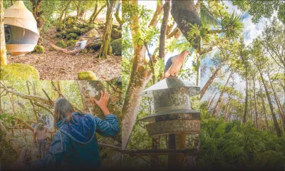 Réserve de Bel-Ombre : écosystème en éveil