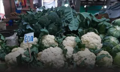 A Rs 60 la pièce, le chou-fleur fait toujours saliver
