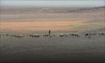 Inde : 78 morts de la chaleur extrême en deux jours 