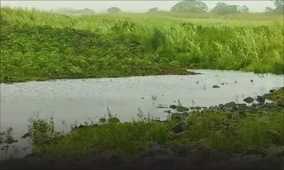L'après-Batsirai: Champs inondés à Melrose