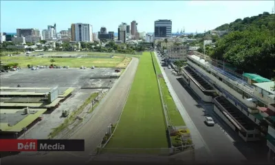Champ-de-Mars : le cheval 'Zo Lucky' euthanasié