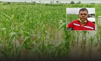 Rivière-du-Poste : Les grosses averses inondent son champ de maïs