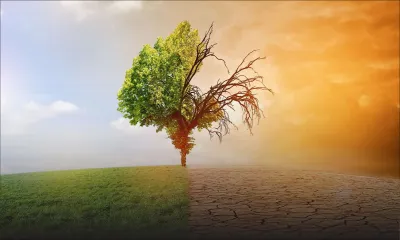 Pluies torrentielles : quelle réforme pour que Maurice ne soit pas à genoux ? 