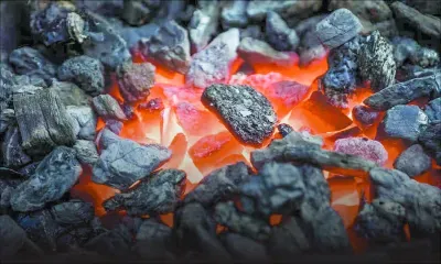 Transition énergétique : les défis d’un avenir zéro charbon 