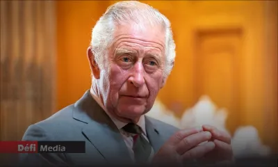 Royaume-Uni: Charles III veut empêcher Harry et Andrew d'assurer son intérim 