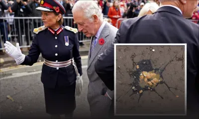 Royaume-Uni: un homme arrêté après avoir lancé des oeufs en direction du roi