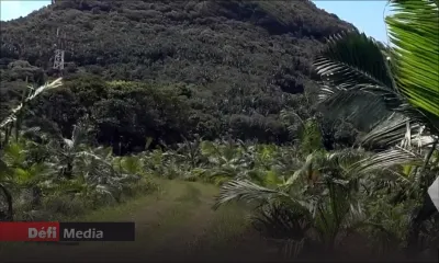 Drame à Sébastopol : la sécurité lors d’une partie de chasse revient sur le tapis