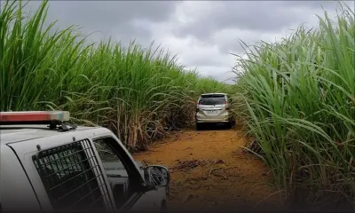 Taximan retrouvé mort à Camp-de-Masque : trois suspects interpellés 