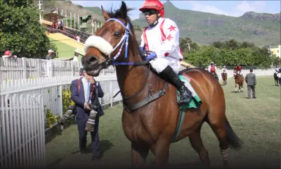 L’Icac obtient un ordre de saisie du cheval Black Parrot