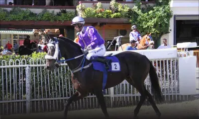 Hippisme – RBL Soprema Group Golden Trophy : Recall To Life est-il éligible ?