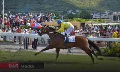 Les turfistes pourront à nouveau assister aux courses hippiques à partir du 11 juillet
