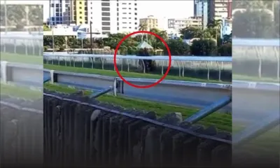 Champ de Mars : un palefrenier suspecté de maltraiter un cheval