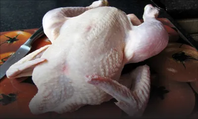 Food scare: Salmonella outbreak affecting chicken farms