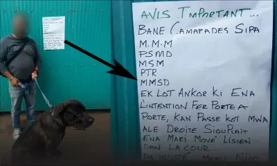 Porte-à-porte des candidats : «Ena mari move lisien dans la cour», a placardé sur sa maison un habitant de Curepipe