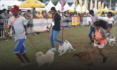 Au collège St-Mary's, Rose-Hill : le Salon des animaux en images 