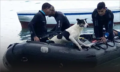 Montagne Zako: un chien sauvé de la noyade par des plongeurs de la NCG