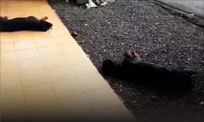 Vacoas : deux Rottweilers tiennent une famille « en otage »