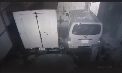 Morcellement Guibies, Pailles : une meute de chiens errants sèment la terreur