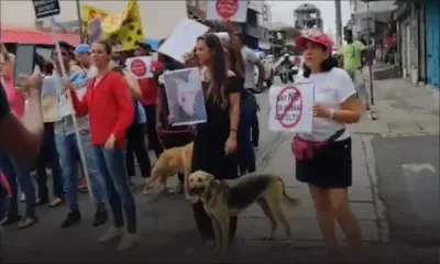 Journée mondiale des animaux : deux chiens défilent aux côtés des manifestants