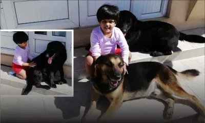 Chiens perdus : Aidez la petite Mrinaali à retrouver le sourire   