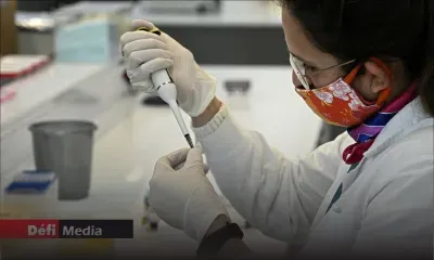 Un nouveau virus, Langya, identifié en Chine, des dizaines de cas