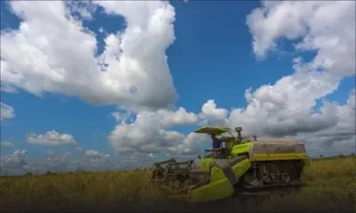 Coopération Chine-Afrique :  les machines agricoles chinoises contribuent à la modernisation de l'agriculture africaine 