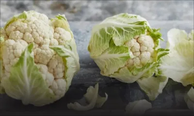 Des choux, des choux-fleurs et des pistaches emportés  