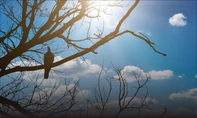 Prévisions météo du 16 septembre