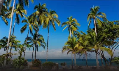 Prévisions météo du 19 novembre