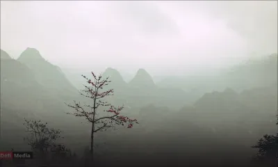 Météo : perturbation tropicale, anticyclone, rafales de 70 km/h…