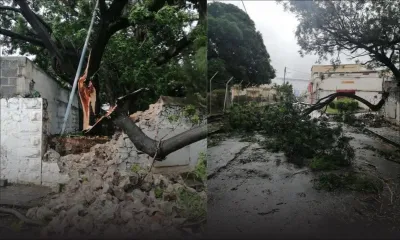 Batsirai : Maurice en alerte 4, des rafales de 120km/h enregistrées 