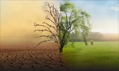 Sondage Afrobarometer – Changement climatique : une action collective souhaitée