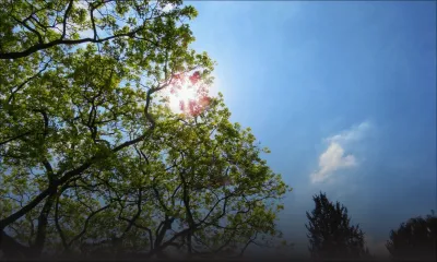 Prévisions météo du 22 novembre