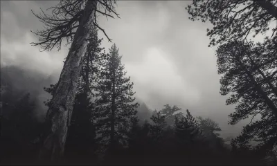 Avertissement de fortes pluies : une amélioration du temps attendue dans l'après-midi