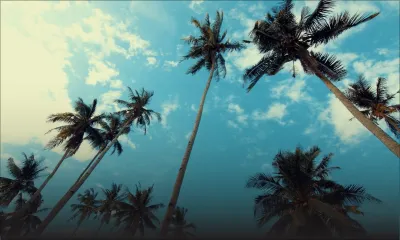 Météo : les prévisions en ce premier jour de l’année