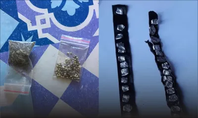 Cocaïne, cannabis, et psychotropes saisis par l'ADSU de Rose-Hill : cinq suspects coffrés 