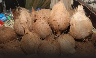 Thaipoosam Cavadee : légumes et noix de coco disponibles auprès de l’AMB