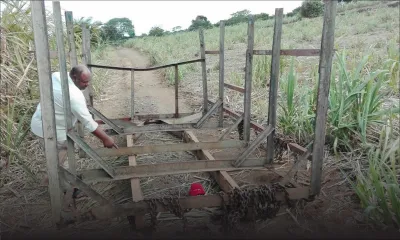 Grand-Bois : un laboureur retrouvé mort sous une «corbeille» de cannes