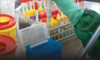 Coronavirus : un traitement pourrait être disponible d'ici l'été